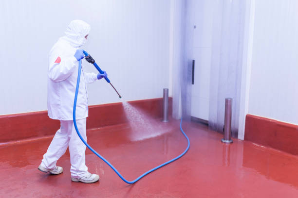 Best Restaurant Pressure Washing  in Davenport, FL