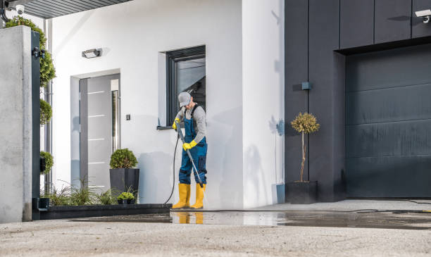 Best Gutter Cleaning  in Davenport, FL